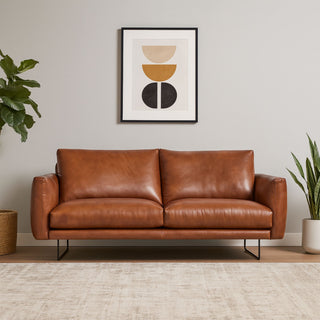leather sofa in a room with a plant and a beige rug