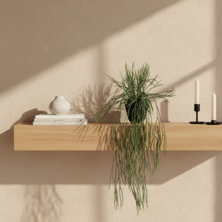 Faux plant on an oak shelf