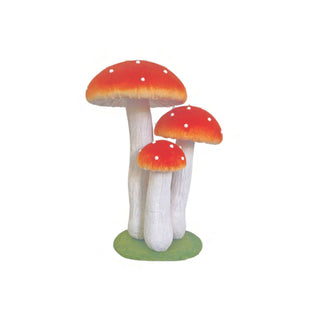 Toadstool Cluster - Large