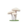 Mushroom Cluster