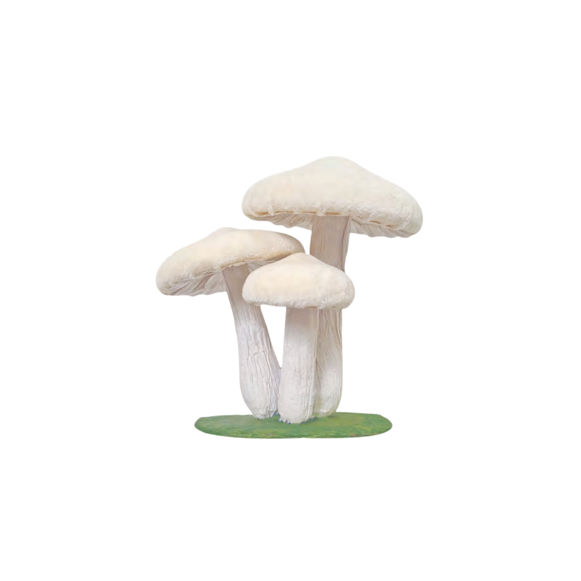 Mushroom Cluster
