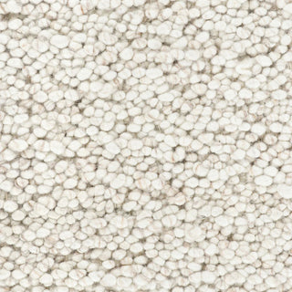 Close-up of textured beige carpet