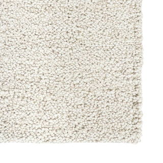 Close-up of a textured beige carpet sample