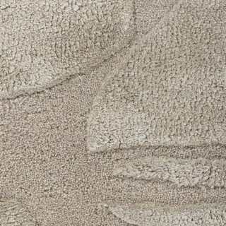 Close-up of beige carpet texture