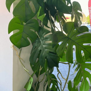 Philo Faux Plant Vine