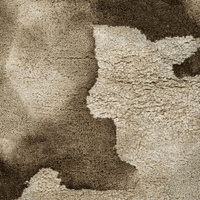 Close-up of textured beige carpet