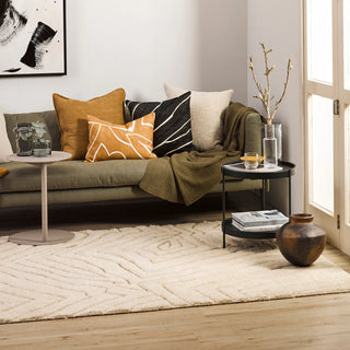 Living room with a sofa, cushions, and decorative items.