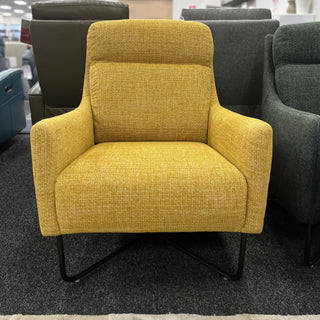 Trento Chacha in Mustard