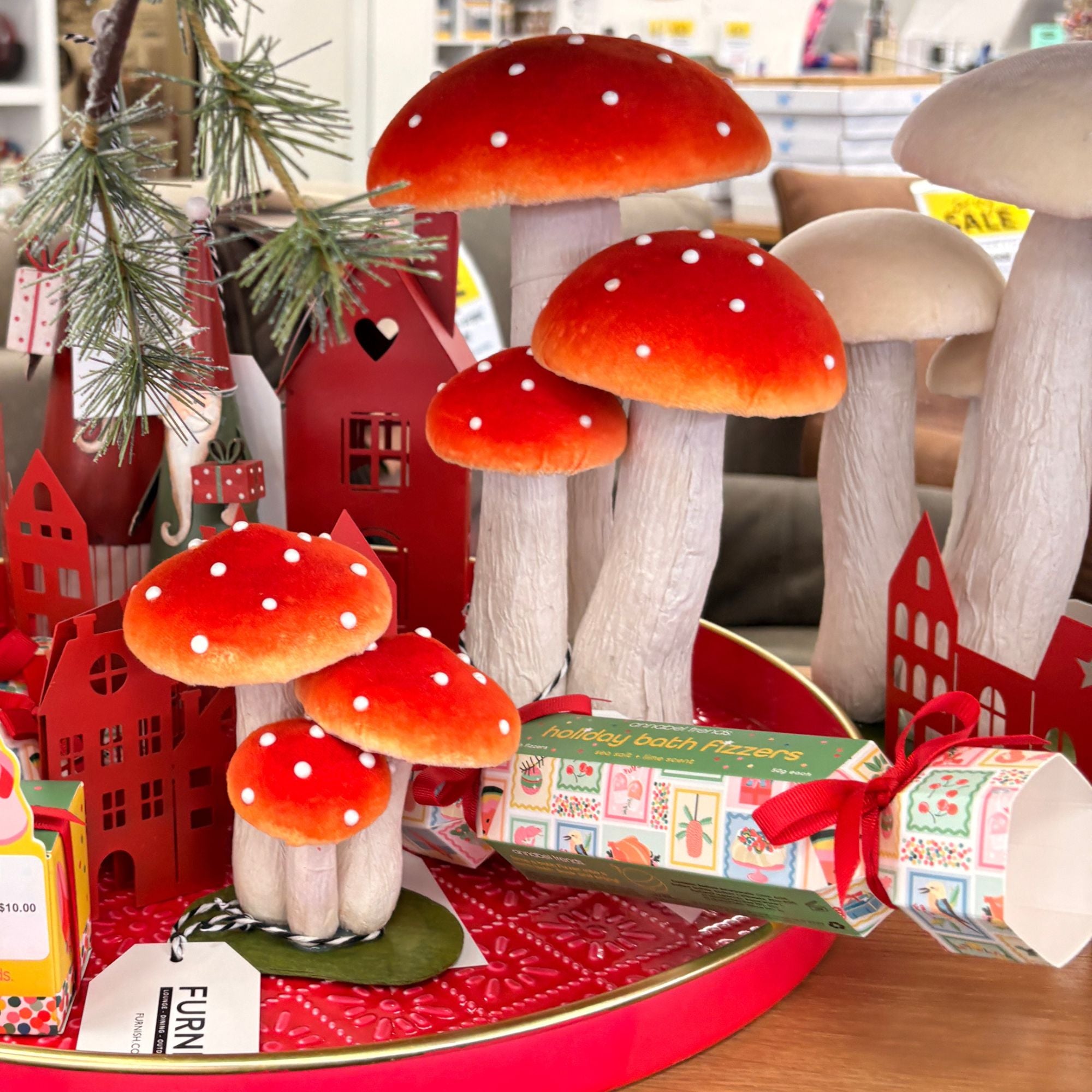 Toadstool Cluster - Large