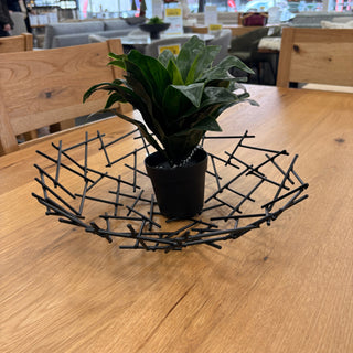 Decorative black metal bowl with a plant on a wooden table