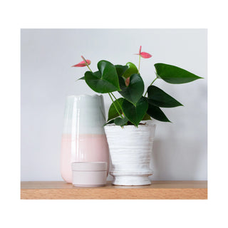 Ariel Planter - Ecru - 15.5cm