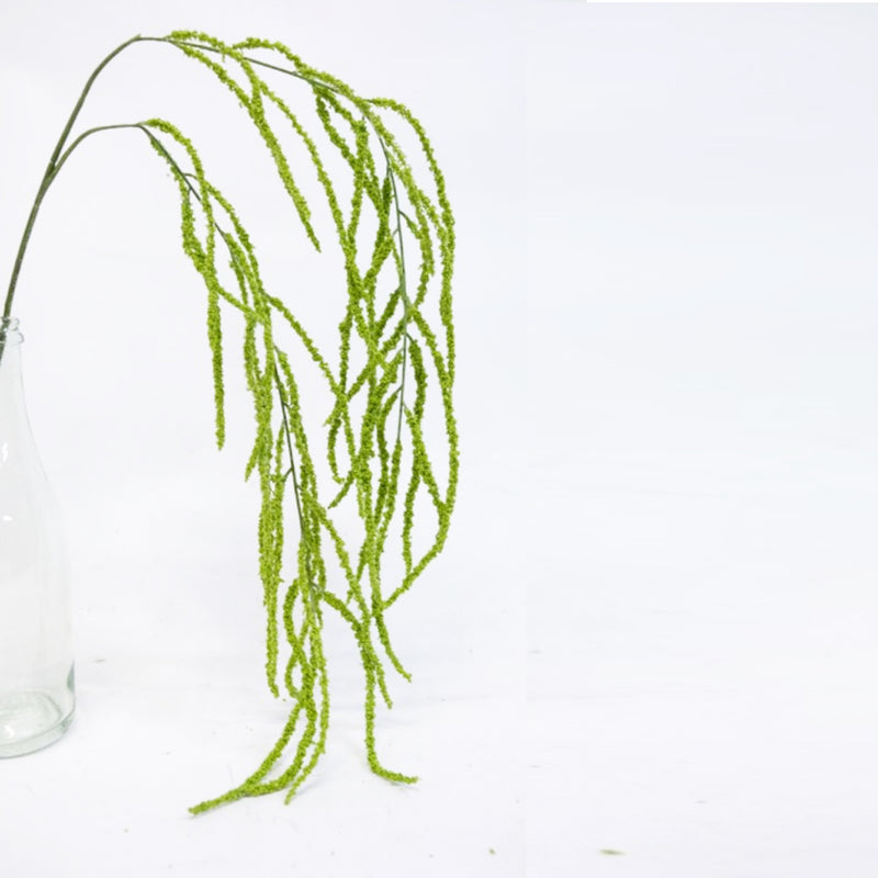 Green Amaranthus Spray 106cm