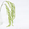 Green Amaranthus Spray 106cm