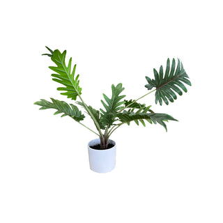Potted Xanadu Philodendron Plant Faux