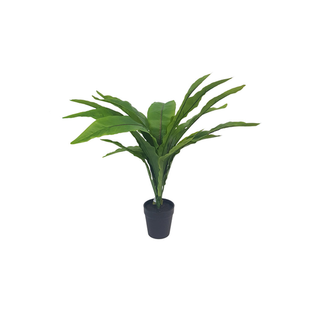 Potted Birds Nest Fern | Faux Plants & Greenery | FURNISH