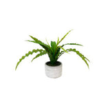 Potted Fern in Chevron Cement Pot